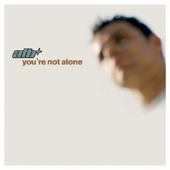 You're Not Alone (Airplay Mix) song art