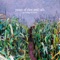 Lola - Years of Rice and Salt lyrics