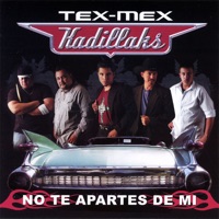 Tex-Mex Kadillaks - Hasta Que Llegaste Tu