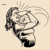 Moderat (Video Album) artwork