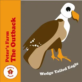 Wedge Tailed Eagle
