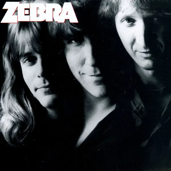 Slow Down — Zebra
