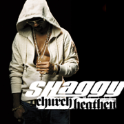 Church Heathen (Radio Edit) - Shaggy
