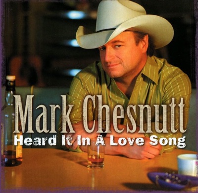 Heard It In a Love Song