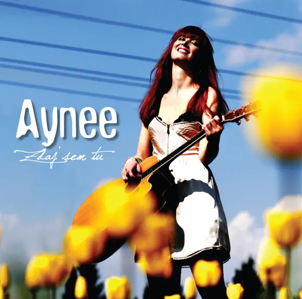DOLINA MIRU — AYNEE