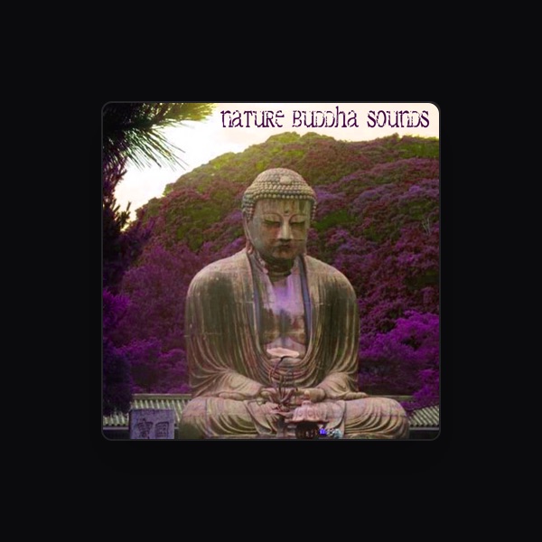 Buddha Meditation's avatar