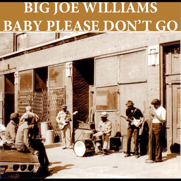Baby Please Don't Go - Single - ビッグ・ジョー・ウィリアムスの