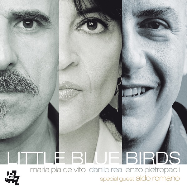 Little Blue Birds - Single
