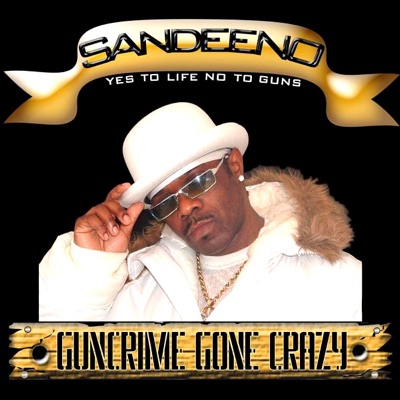 Gun Crime Gone Crazy