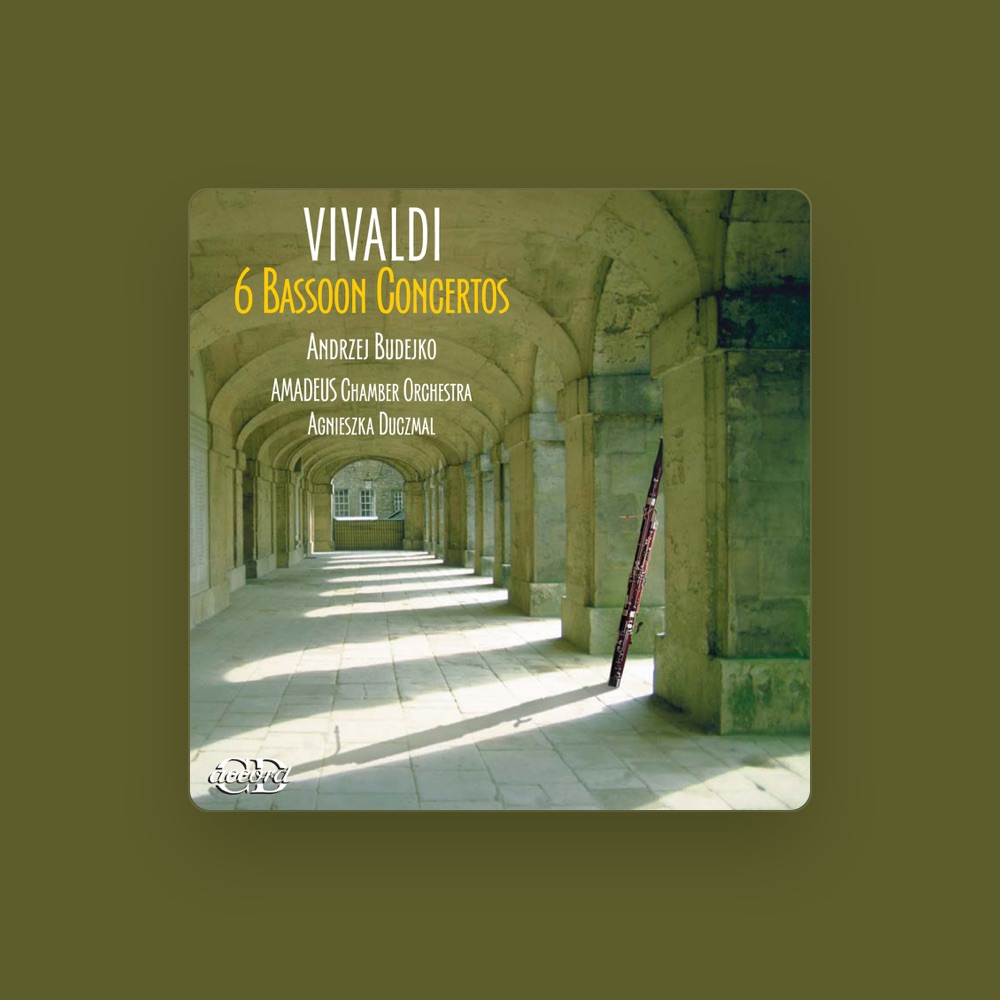 Фото Amadeus Chamber Orchestra