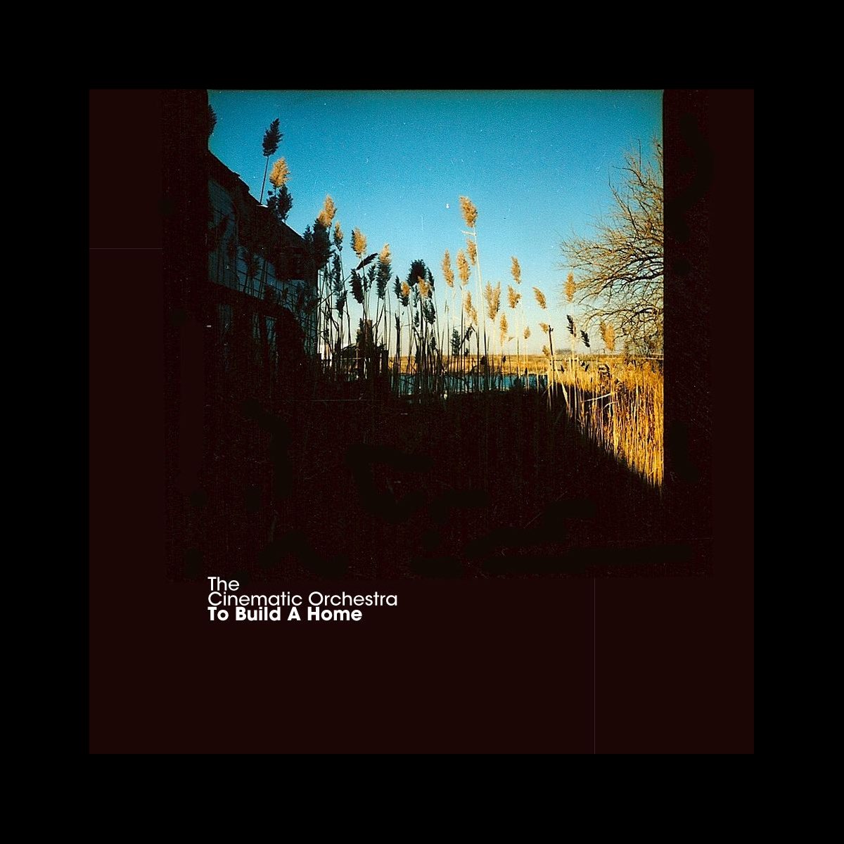 to build a home the cinematic orchestra lyrics