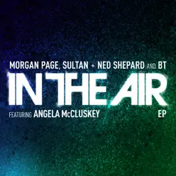 In the Air (Remixes) [feat. Angela McCluskey] - Morgan Page