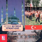 Cover art for Süper Rumeli Türküleri by Various Artists