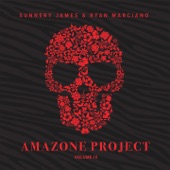 Amazone Project, Vol. 3 artwork