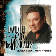 20/20 MMXX Twenty-Veinte - David Lee Garza & Los Musicales