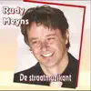 DE STRAATMUZIKANT