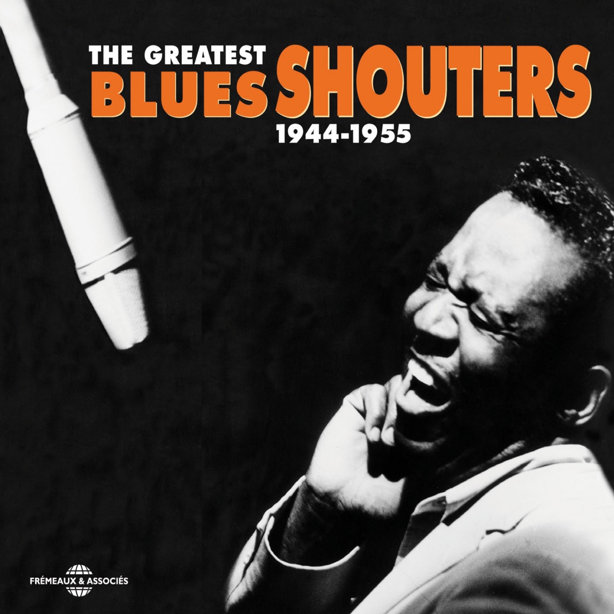 Pochette du titre The Blues Came Pouring Down