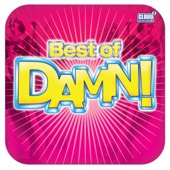 Best of Damn! artwork