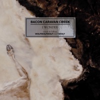 Bacon Caravan Creek - I Wonder