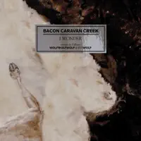 I Wonder — Bacon Caravan Creek