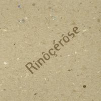 Rinôçérôse - Rinôçérôse