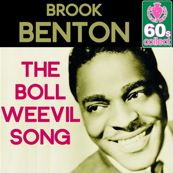 The Boll Weevil Song - Single