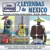 Serie Homenaje: 3 Leyendas de Mexico - Homenaje a los Éxitos de Don Antonio, Gerardo y Ramón