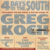 4 Days In the South artwork