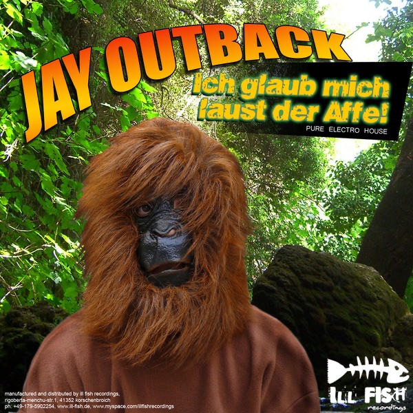 Ich glaub mich laust der Affe