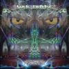 Holographic Ideas