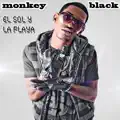 Monkey-Black-El-Sol-La-Playa
