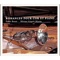 Lied ohne Worte, Op. 2 - Javier Bonet & Miriam Gomez-Moran lyrics