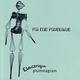 last ned album Poi Dog Pondering - Electrique Plummagram