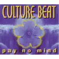 Pay No Mind (Radio Edit)
