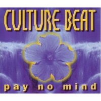 Pay No Mind (Radio Edit)
