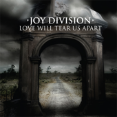 Love Will Tear Us Apart (The 1980 Martin Hannett Version)