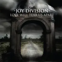 Love Will Tear Us Apart (12" Remix) (The 1980 Martin Hannett — Joy Division
