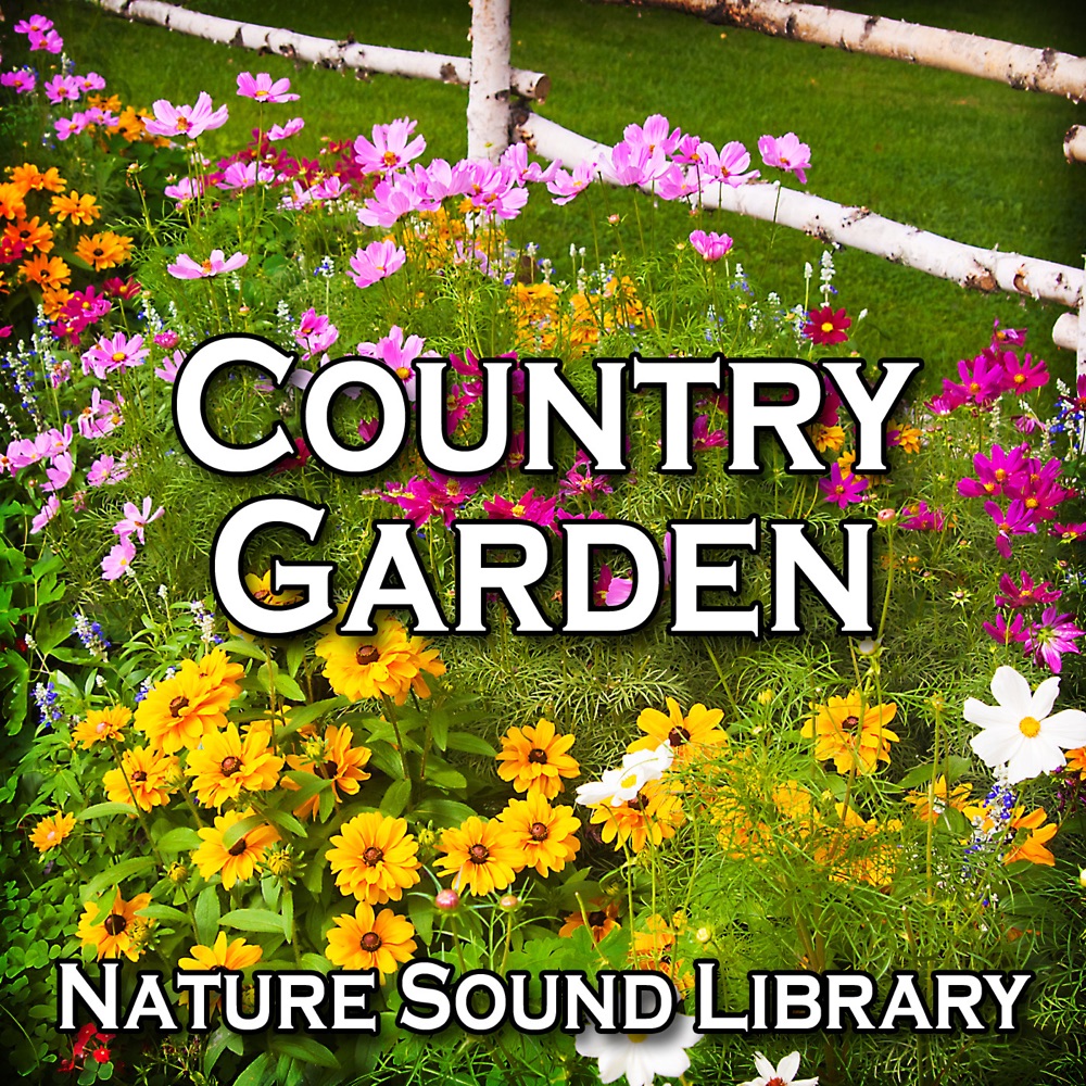 Natural Peace of a Country Garden for Tranquility and Self Awareness