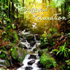 Rainforest Relaxation - Calming Rainforest Sounds new Single