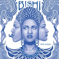 Never Seen Your Face (Remixes) - Bishi