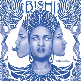 Never Seen Your Face (Hardsky Mix) Bishi