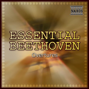 Beethoven Anthology: Vol. 1