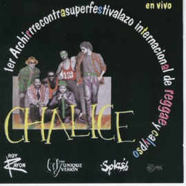 Coyoacán Chalice & Splash