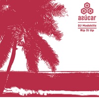 Rip It Up - EP - DJ Madskillz