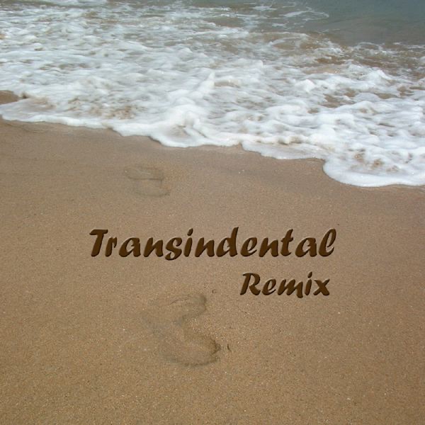 Transindental Remix - Single album cover