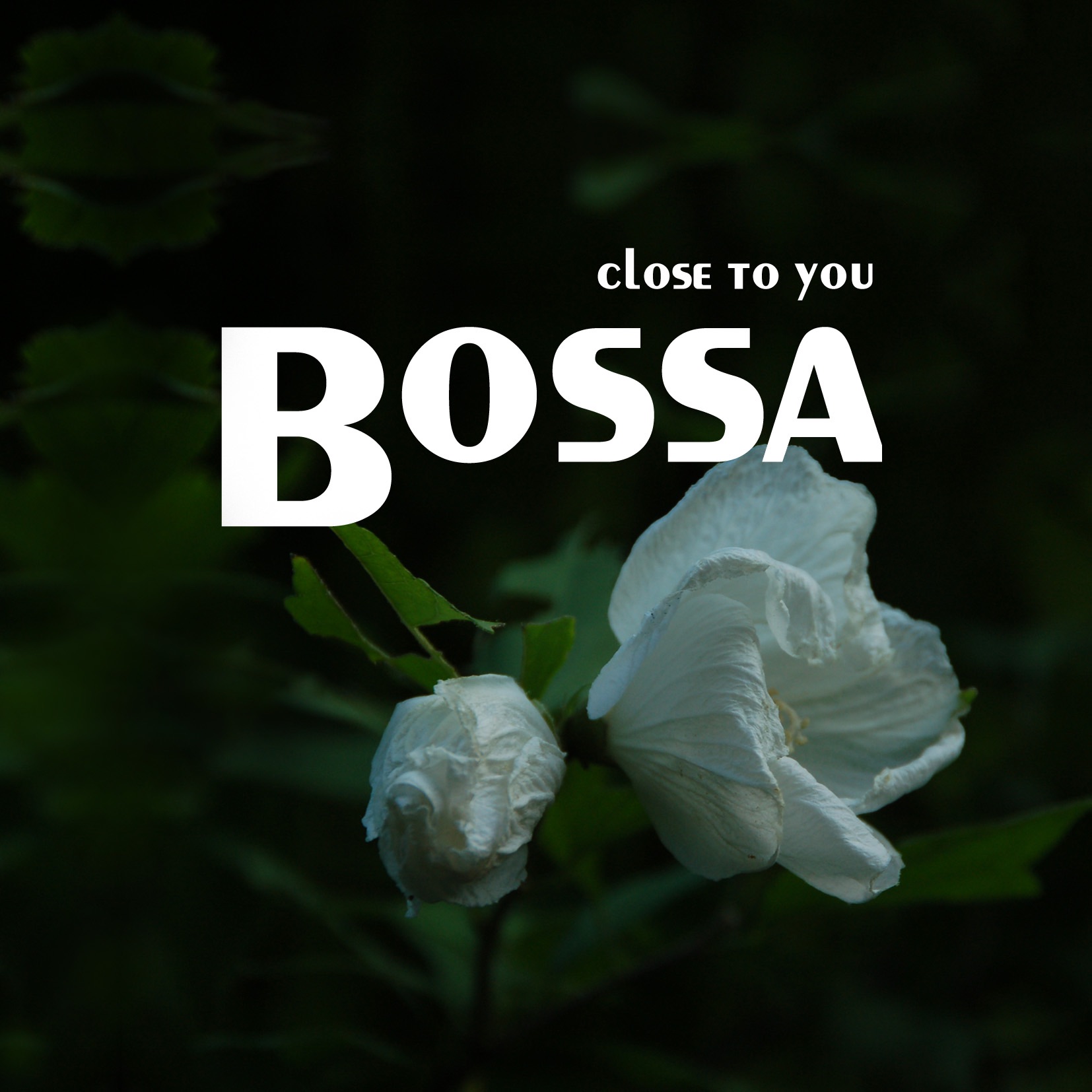 Bossa - Close to You