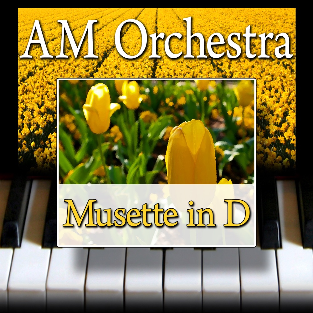 Обложка альбома «Musette in D - Single» — AM Orchestra