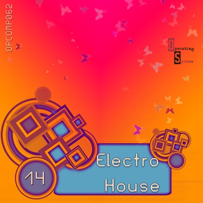 Electro House (14)
