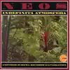 Neos - Quite Enough