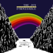 The Joy Formidable - I Don't Want to See You Like This